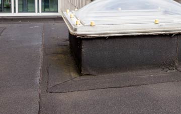 disadvantages of Camden flat roofs
