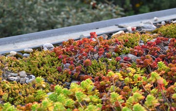 the cost of Camden green roof installation