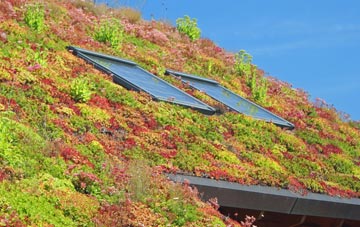 Camden living roof systems