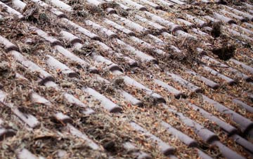 Camden roof cleaning companies