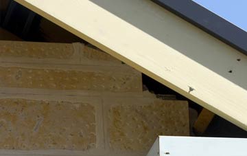 soffit repair Camden