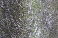 Camden fibreglass roof work